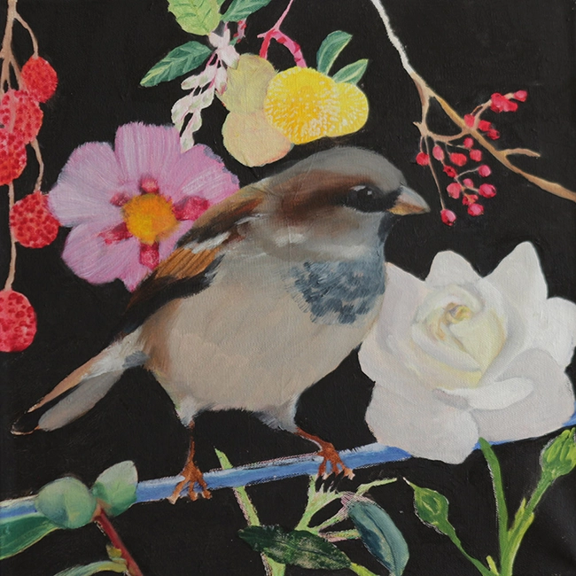 Peinture à l’huile de l’oiseau moineau domestique choisi à partir de l’Observatoire des oiseaux des jardins de la ligne pour la protection des oiseaux (LPO), format 25x25cm