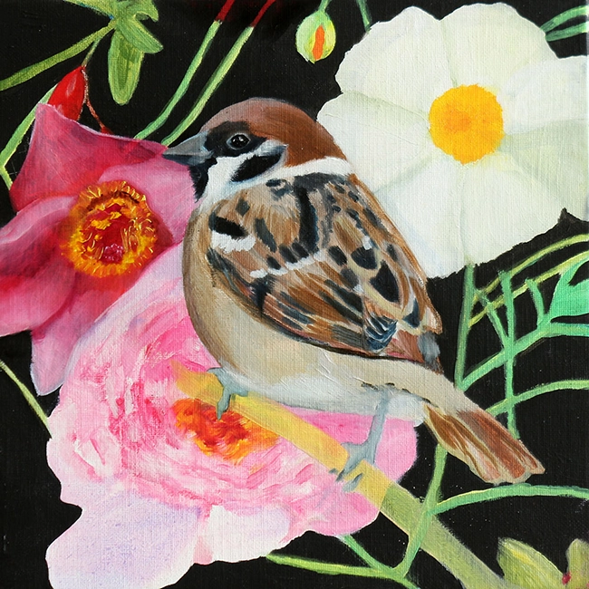 Peinture à l’huile de l’oiseau moineau friquet (passer montanus) choisi à partir de l’Observatoire des oiseaux des jardins de la ligne pour la protection des oiseaux (LPO), format 25x25cm