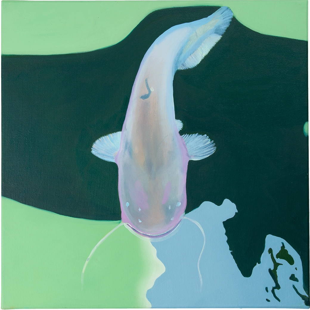 Peinture à l'huile d'un silure glane (silurus glanus), seul espèce d'eau douce ici, format 40x40cm