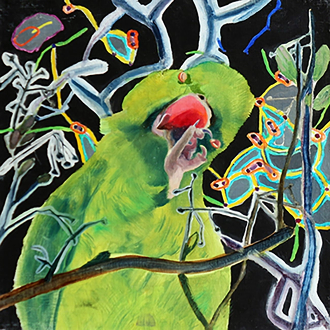 Peinture à l’huile de l’oiseau perruche à collier (Alexandrinus krameri) créé à partir de la photographie du compte Instagram de @_K_l_m_, format 25x25cm