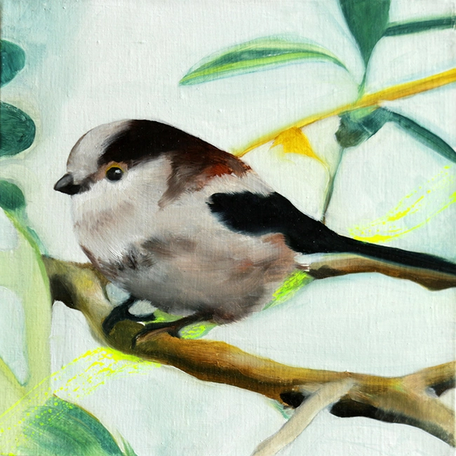 Peinture à l’huile de l’oiseau orite à longue queue (aegithalos caudatus) choisi à partir de l’Observatoire des oiseaux des jardins de la ligne pour la protection des oiseaux (LPO), format 25x25cm
