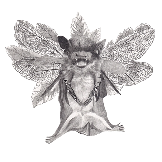 dessin chauve-souris, libellule et autres espèces sous forme de chimère, graphite sur papier, format 20x20cm réalisé à partir des données de la liste ZNIEFF