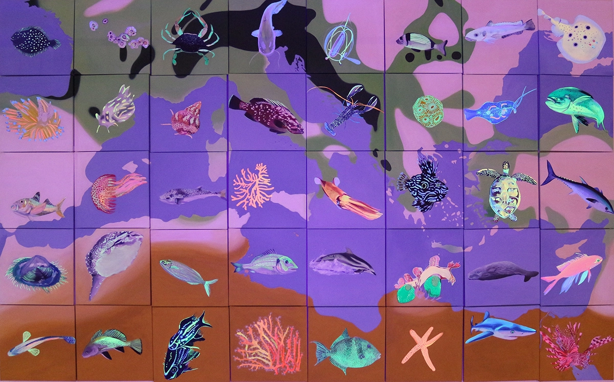 Peinture de poissons et d'autres espèces de la mer Méditerranée composée de 40 toiles avec en fond la carte des pays limitrophe à la Méditerranée