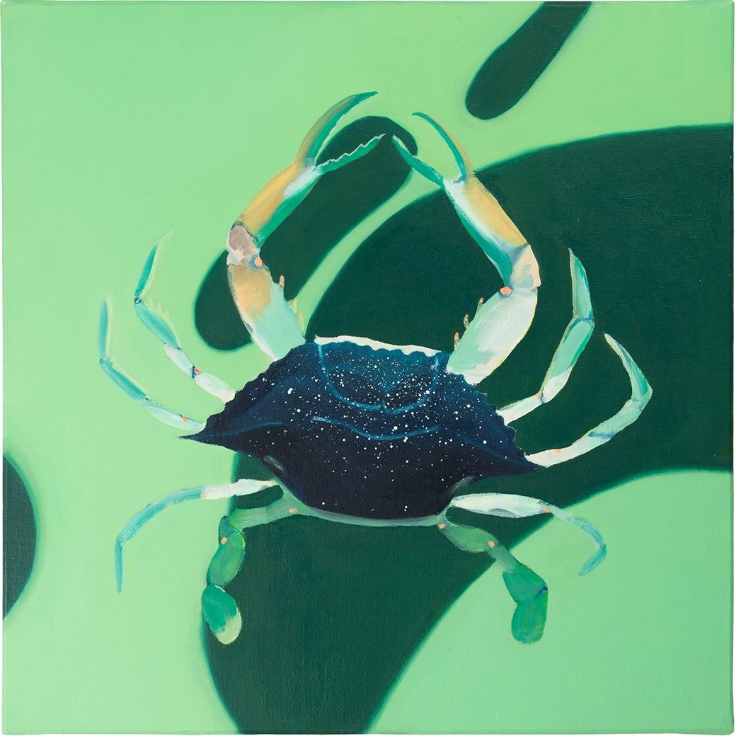Peinture à l'huile d'un crabe bleu américain (Callinectes sadipus) espèce présente en Méditerranée, format 40x40cm