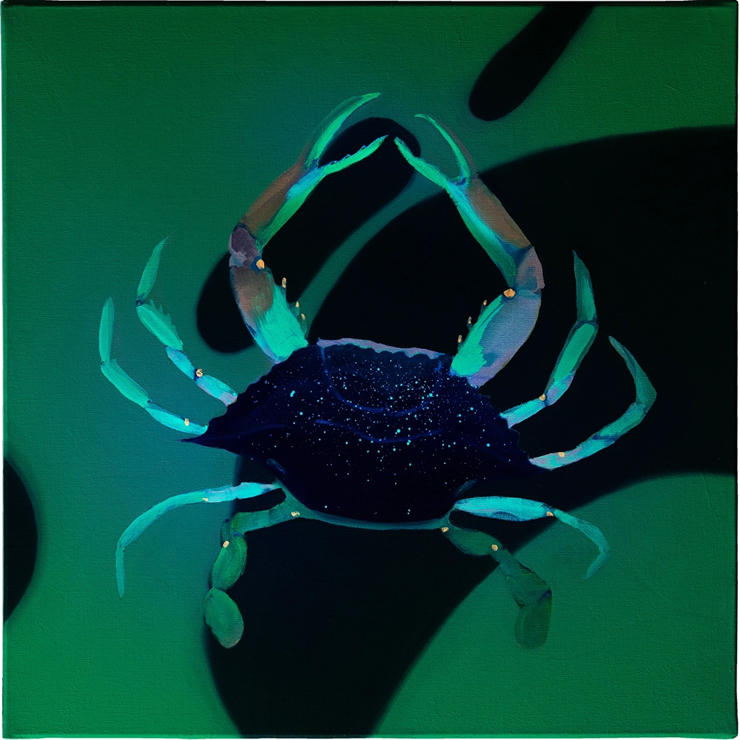 Peinture à l'huile d'un crabe bleu américain (Callinectes sadipus) espèce présente en Méditerranée, format 40x40cm