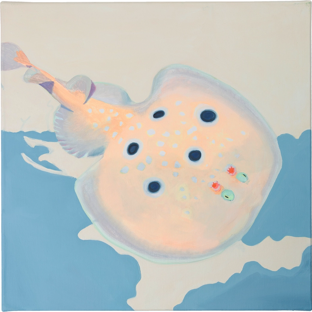 Peinture à l'huile d'une torpille ocellée (Torpedo torpedo) espèce présente en Méditerranée, format 40x40cm