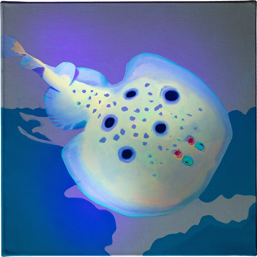 Peinture à l'huile d'une torpille ocellée (Torpedo torpedo) espèce présente en Méditerranée, format 40x40cm (nuit)